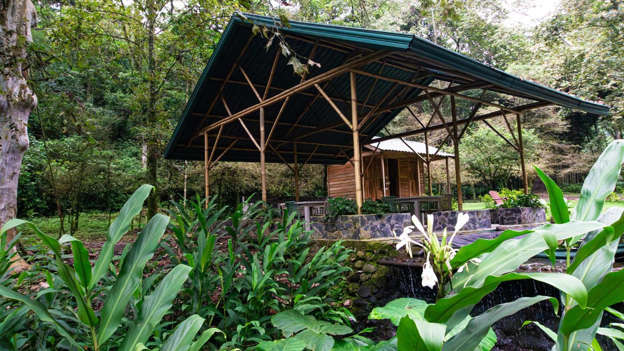 Boscana Forest Resort & Residence Coscomatepec de Bravo Екстер'єр фото